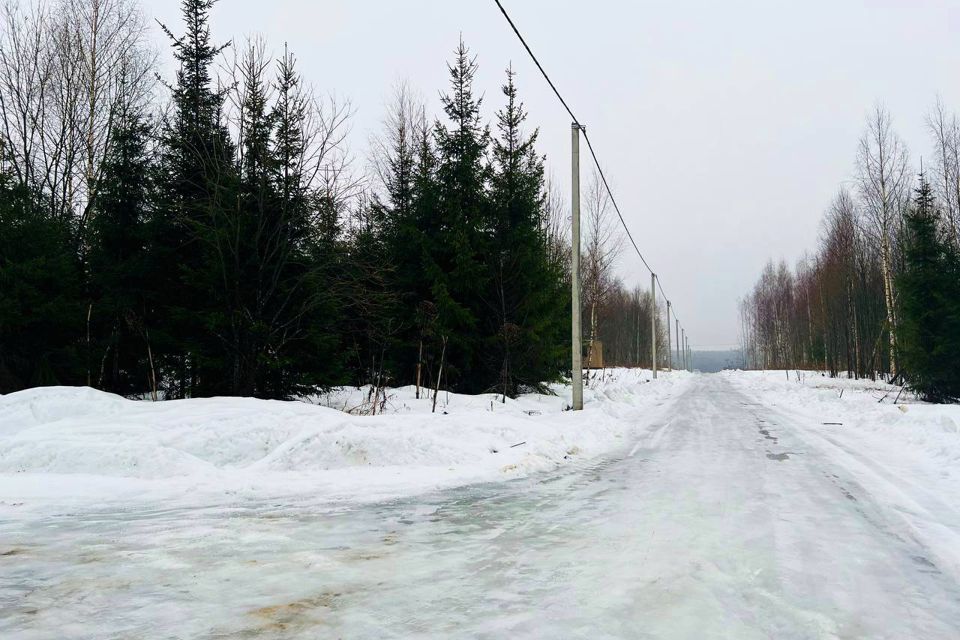 земля городской округ Сергиево-Посадский х Шубино снт Природа 14 фото 2