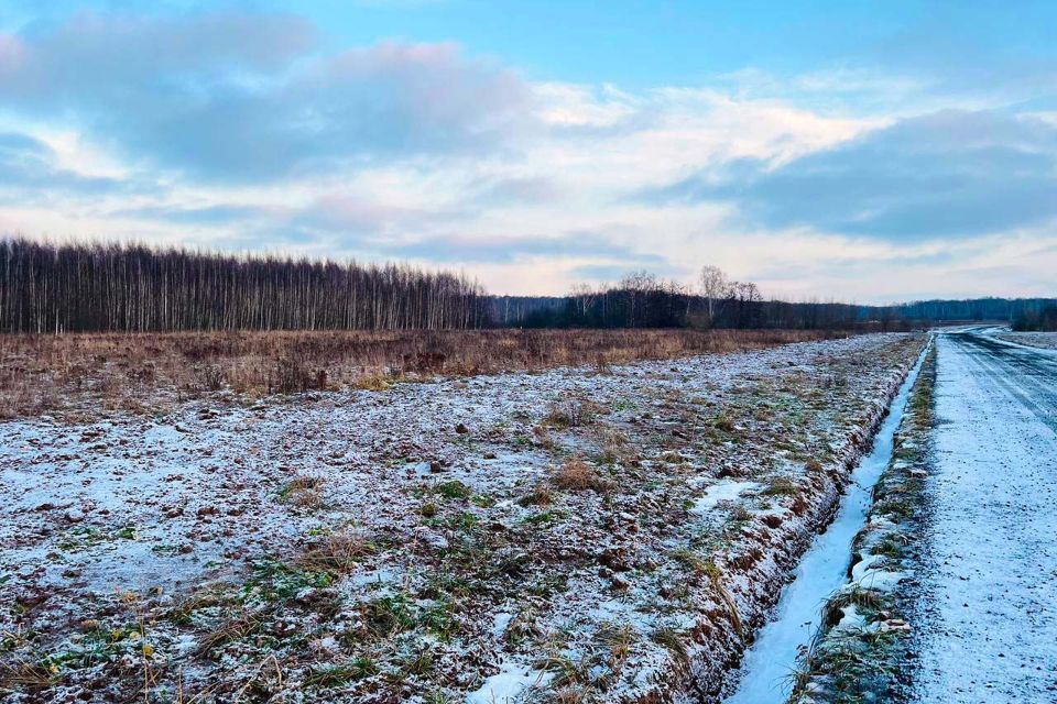 земля городской округ Раменский д Васильево 19а фото 2