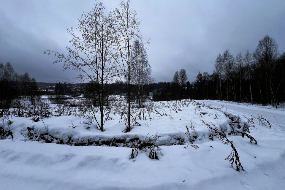 земля городской округ Дмитровский д Гришино 57 фото 3