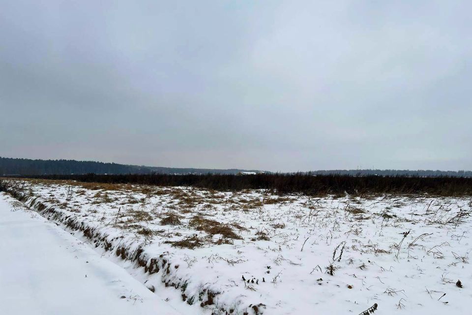 земля городской округ Домодедово д. Барыбино фото 2