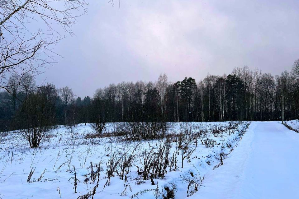 земля городской округ Дмитровский фото 4