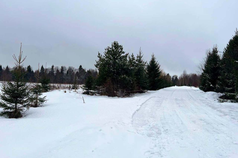 земля городской округ Дмитровский Медведки фото 2