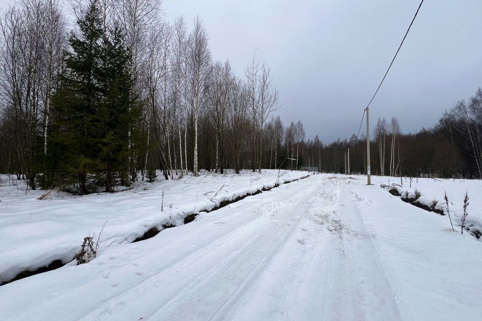 земля городской округ Сергиево-Посадский х Шубино снт Машиностроитель 136 фото 3