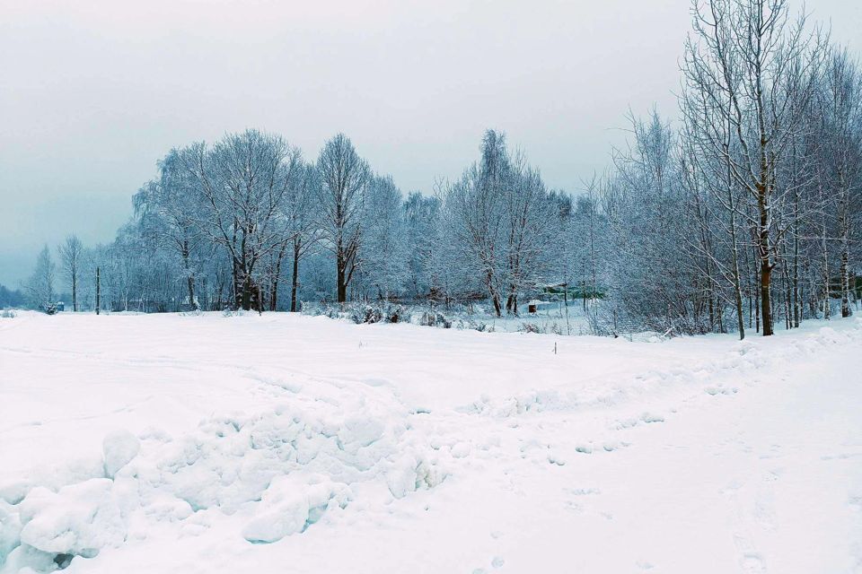 земля городской округ Пушкинский д Василёво 76 фото 3