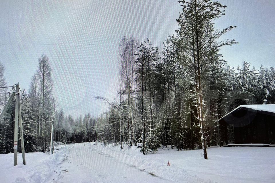 земля р-н Всеволожский Всеволожск фото 4