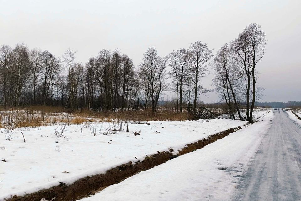 земля городской округ Раменский д. Бритово фото 2