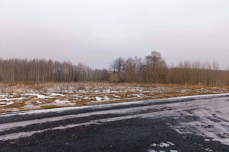 земля городской округ Раменский д. Бритово фото 3