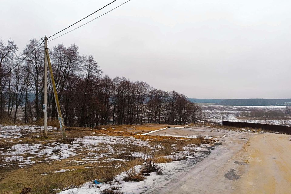 земля городской округ Раменский с. Зеленая Слобода фото 3