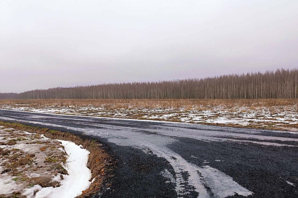 земля городской округ Раменский д. Бритово фото 4