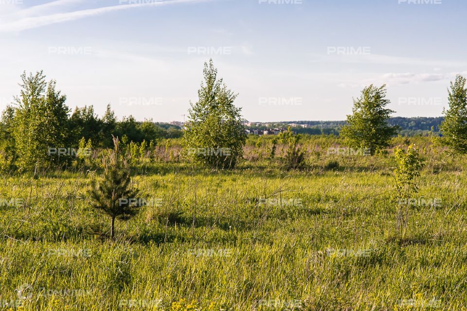 земля городской округ Красногорск Ильинское шоссе фото 2