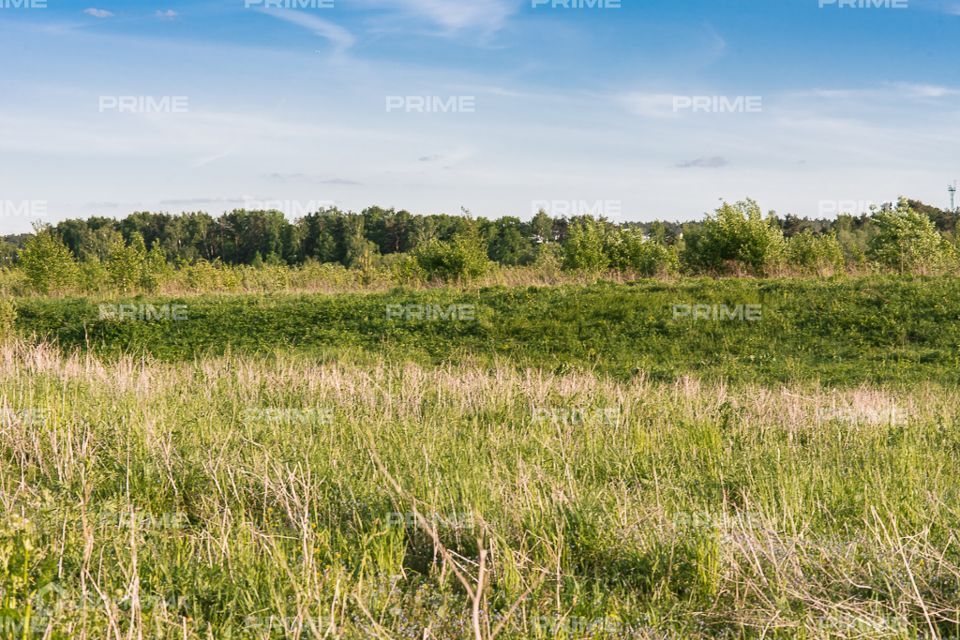 земля городской округ Одинцовский с. Успенское фото 3