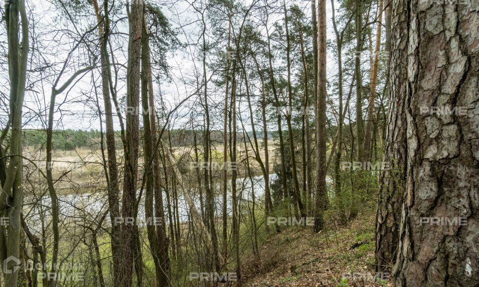 земля городской округ Одинцовский п Горки-10 Государственная резиденция Горки-10 фото 3