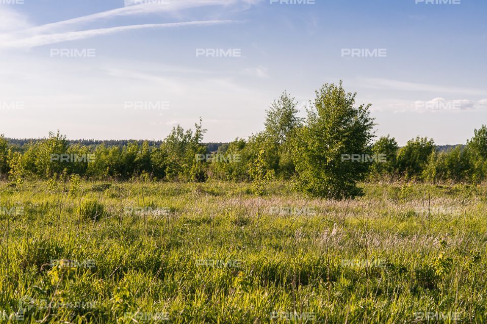 земля городской округ Красногорск Ильинское шоссе фото 3