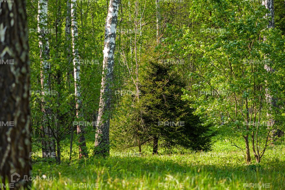 земля городской округ Одинцовский ручей-2, Лесной фото 2