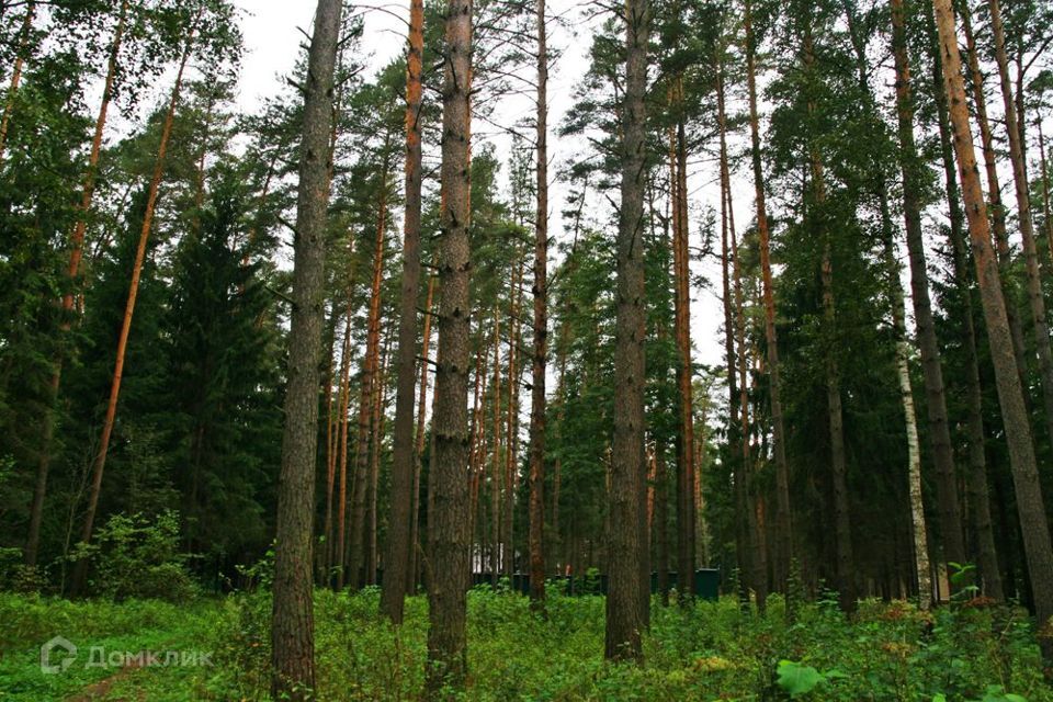 земля городской округ Одинцовский д Сальково 44 фото 3