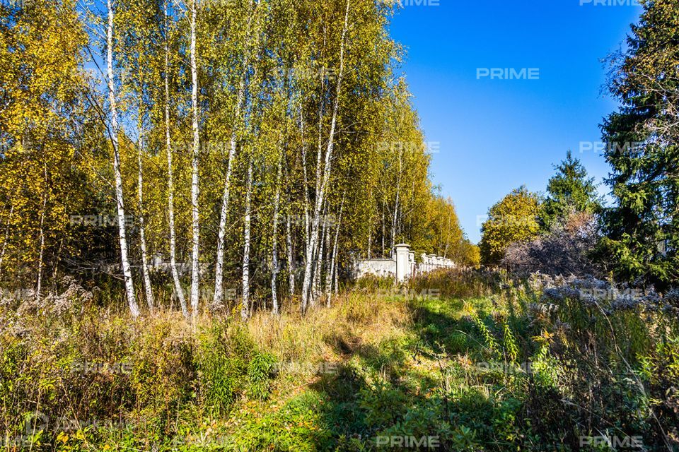 земля городской округ Красногорск д. Бузланово фото 3