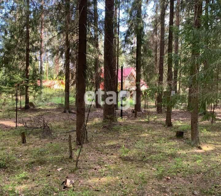 земля р-н Гатчинский городской пос. Вырица фото 2