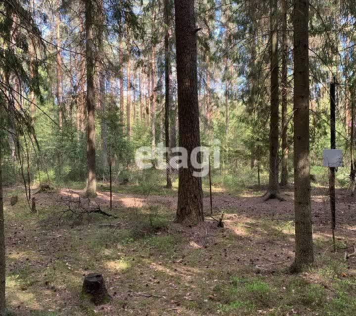 земля р-н Гатчинский городской пос. Вырица фото 3