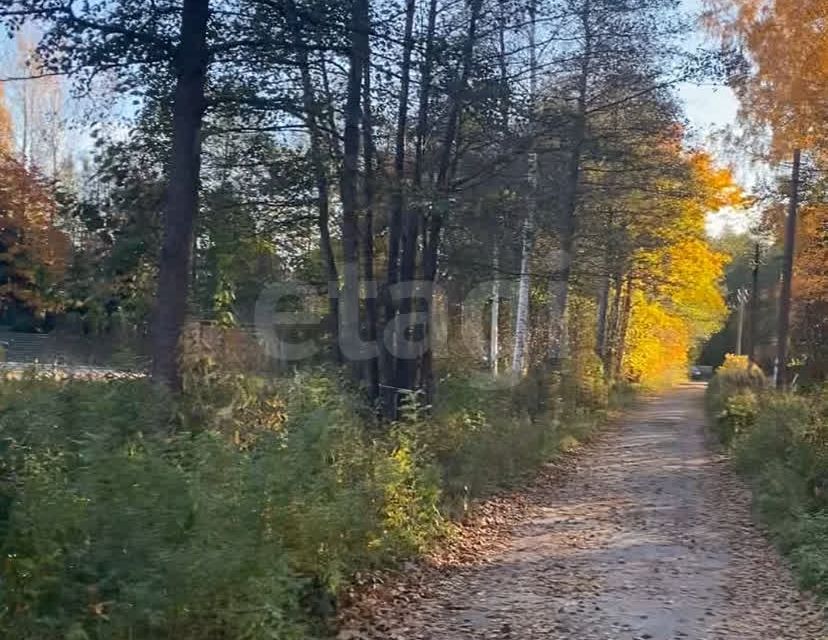 земля р-н Ломоносовский д. Чёрная Лахта фото 4