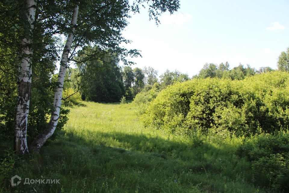 земля городской округ Богородский фото 2