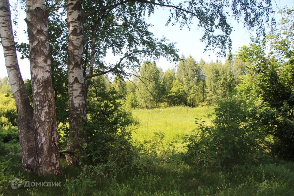 земля городской округ Богородский фото 3