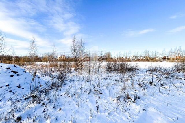 Белые Столбы м-н, Домодедово городской округ фото