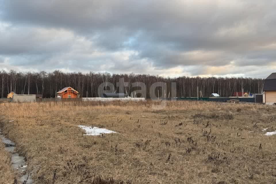 земля городской округ Домодедово д. Матчино фото 1