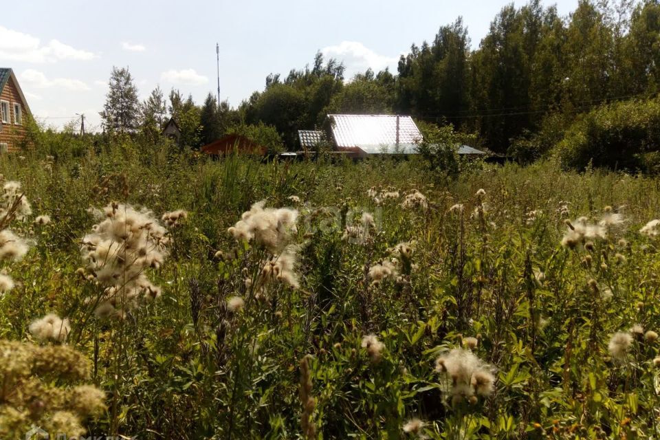 земля городской округ Чехов СНТ Наука-4 фото 1