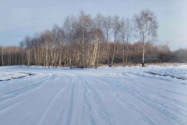 д. Сбоево фото