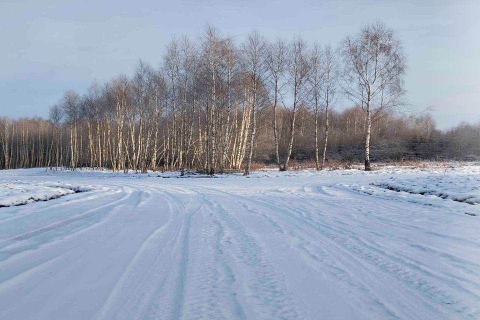 земля городской округ Дмитровский д. Сбоево фото 1