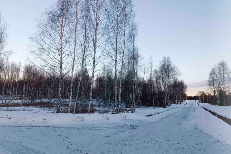 земля городской округ Дмитровский д. Сбоево фото 1