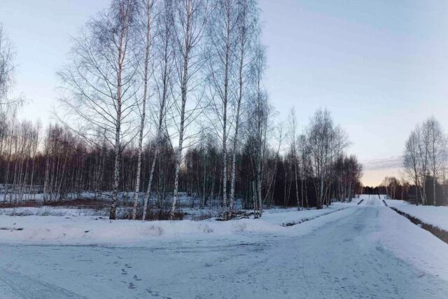 д. Сбоево фото