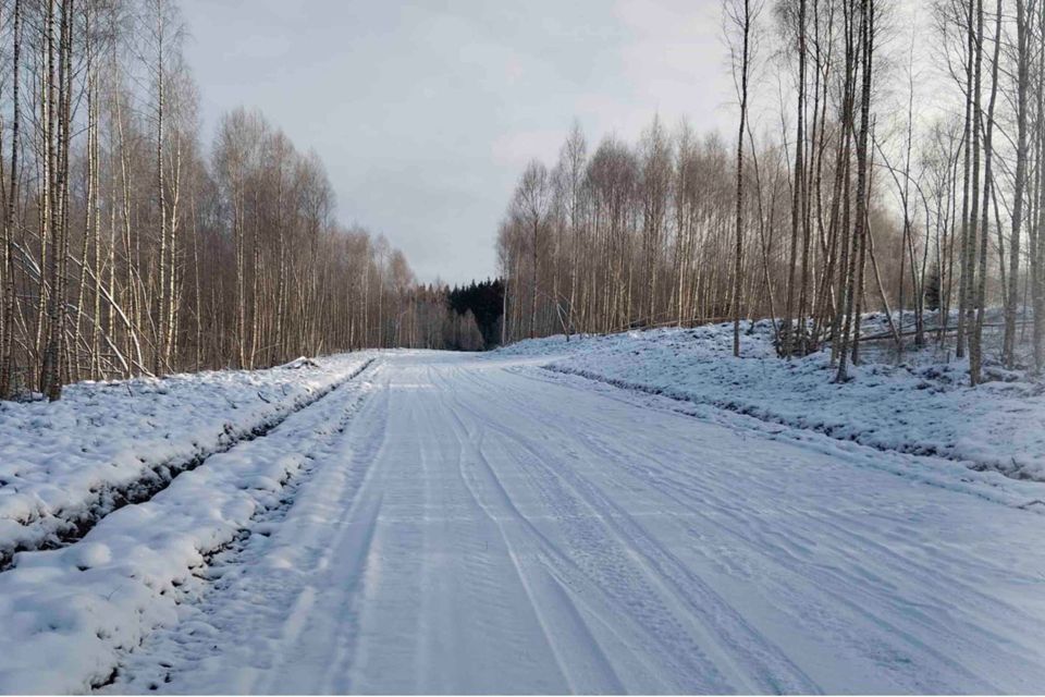 земля городской округ Дмитровский д. Сбоево фото 1