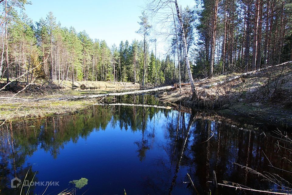 земля р-н Кировский д. Колосарь фото 1