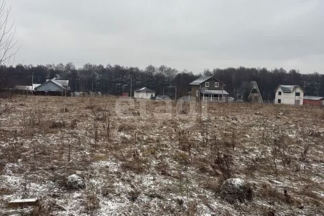 земля Домодедово городской округ фото