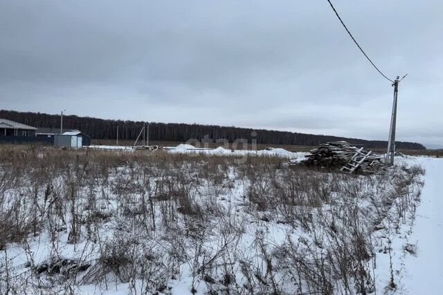 Ильинская Слобода, Домодедово городской округ фото