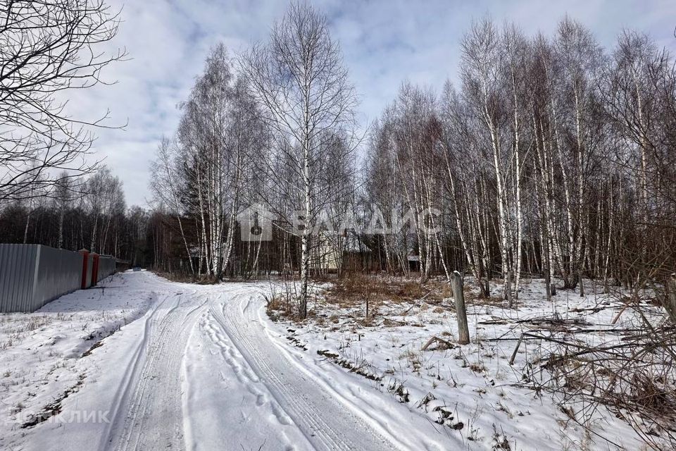 земля городской округ Озерский д Сенцово ул Восточная Коломна городской округ фото 4