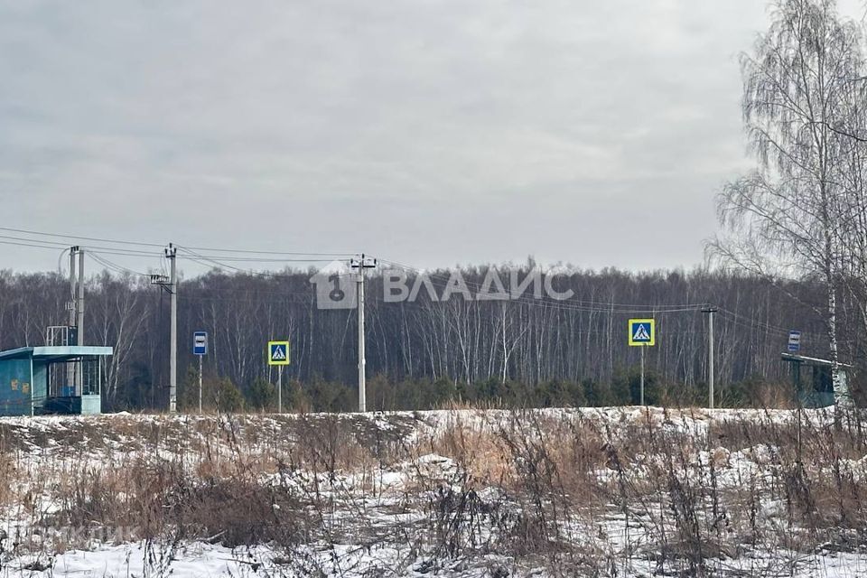 земля городской округ Озерский д Сенцово ул Восточная Коломна городской округ фото 3