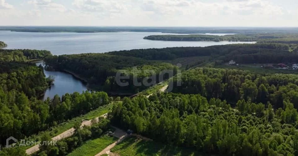 земля городской округ Пушкинский Вдохновение Пушкина фото 3