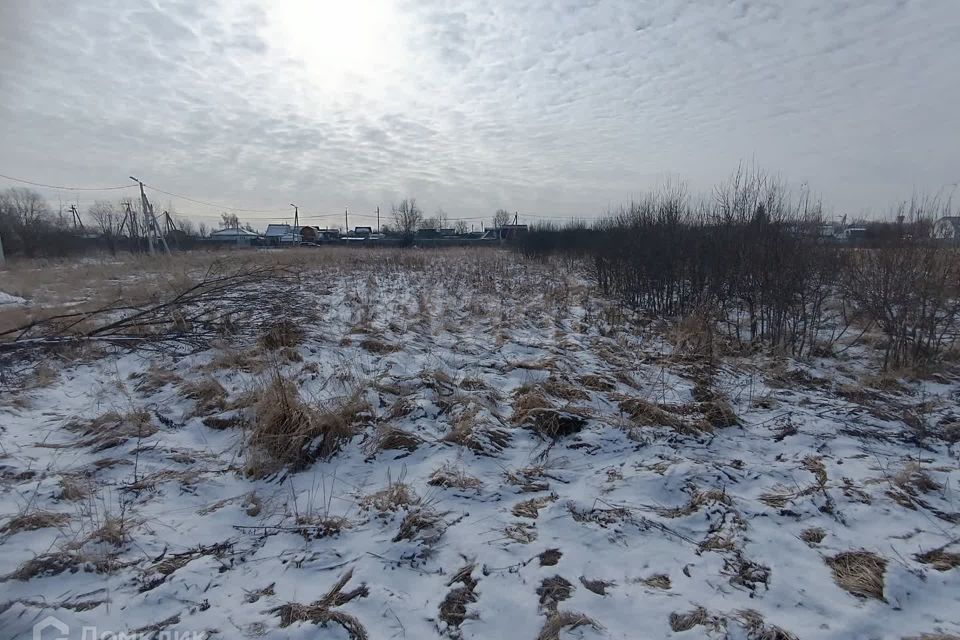 земля Коломна городской округ, д. Зарудня фото 3