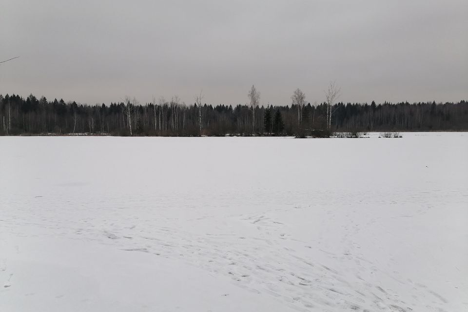 земля городской округ Одинцовский д. Фуньково фото 4