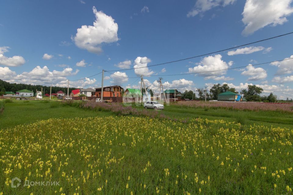 земля городской округ Домодедово д. Тургенево фото 3