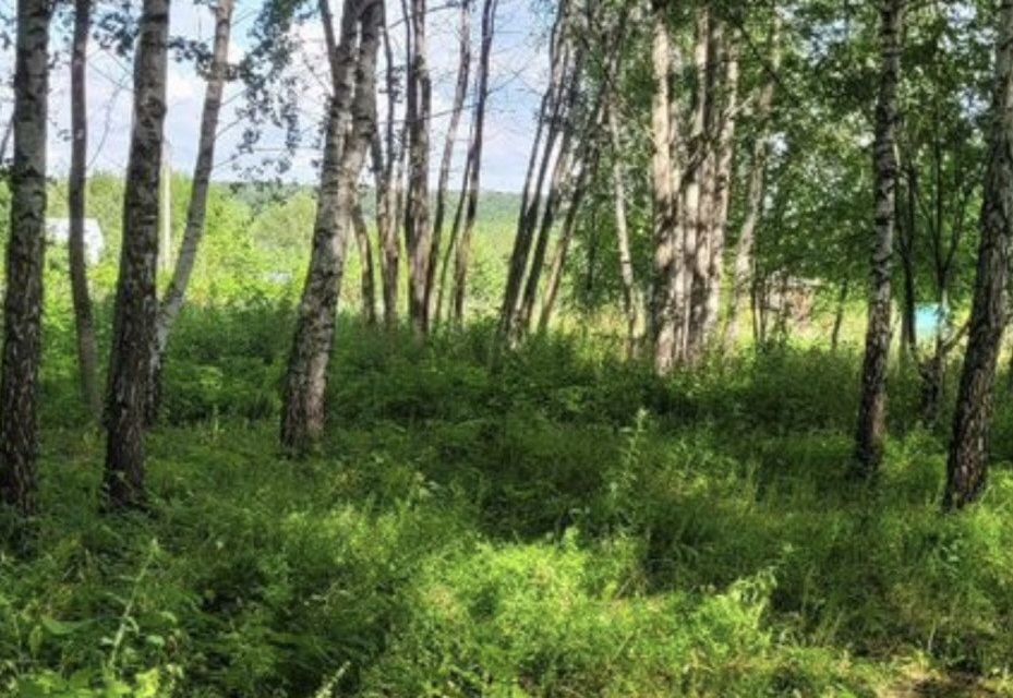 земля городской округ Серебряные Пруды д. Есипово фото 2