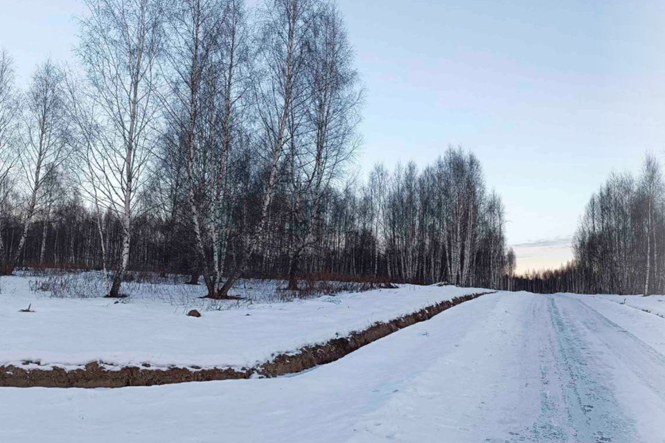 земля городской округ Дмитровский д. Сбоево фото 2