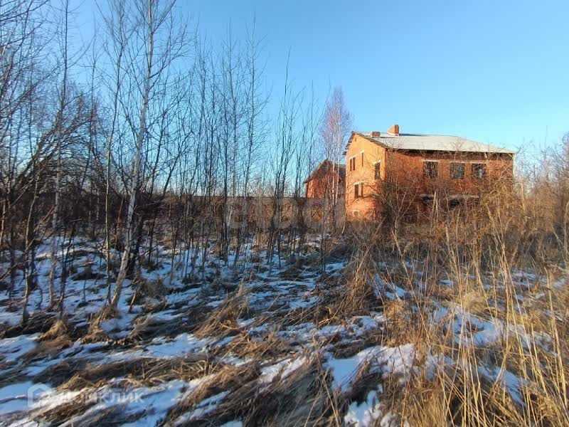 земля городской округ Воскресенск д. Цибино фото 4