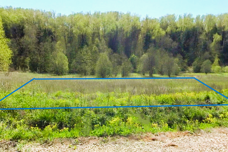 земля городской округ Дмитровский Ольшаны фото 4