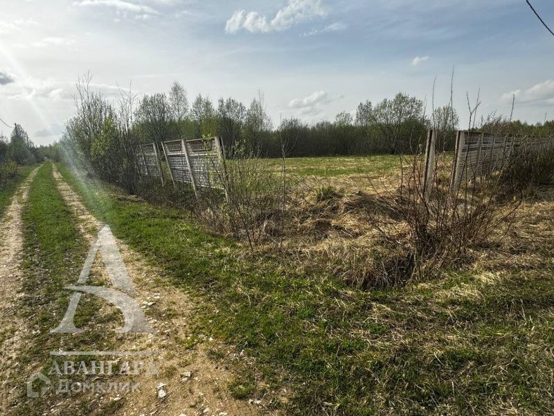 земля городской округ Клин ДНП Лесное фото 3