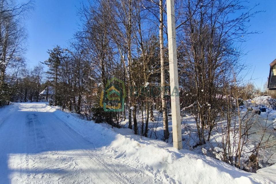 земля р-н Всеволожский СНТ Сарженка-3 фото 4