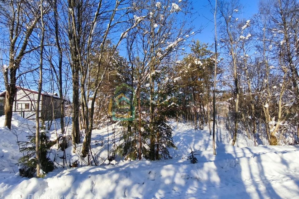 земля р-н Всеволожский СНТ Сарженка-3 фото 3