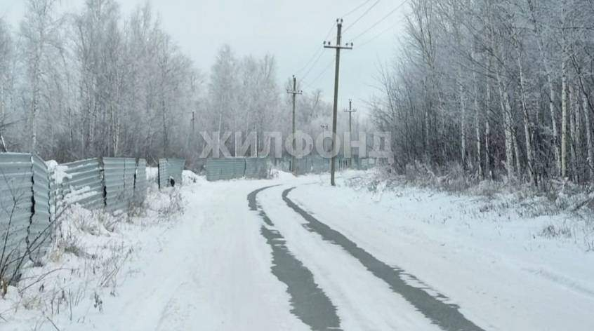 земля р-н Новосибирский Содружество дачное неком-е партнерство фото 2